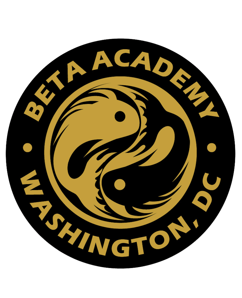 BETA Academy Logo